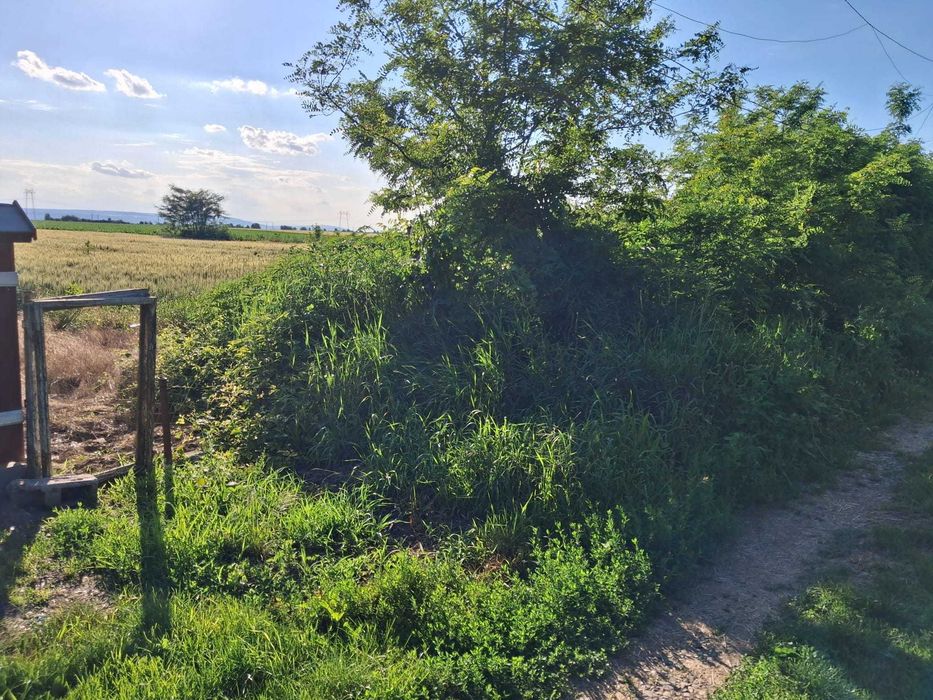 Teren vânzare Traian, comuna Săbăoani, Neamț, Zona Intrare Cimitir Ortodox