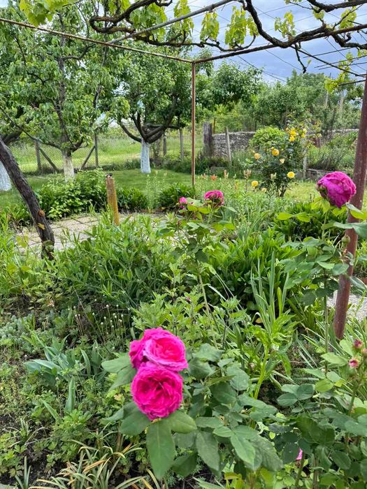 Продава се Къща в с. Владимирово, Област Добрич - 100 кв.м за 383 €/кв.м - Снимка #18