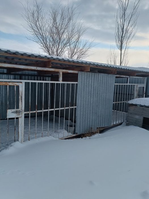 Продам Вальеры для собак качество сделанные