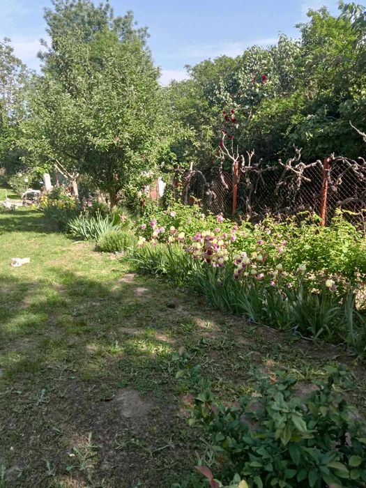 Продава се Къща в Варна, м-т Боровец - юг - 18 кв.м за 1722 €/кв.м - Снимка #2