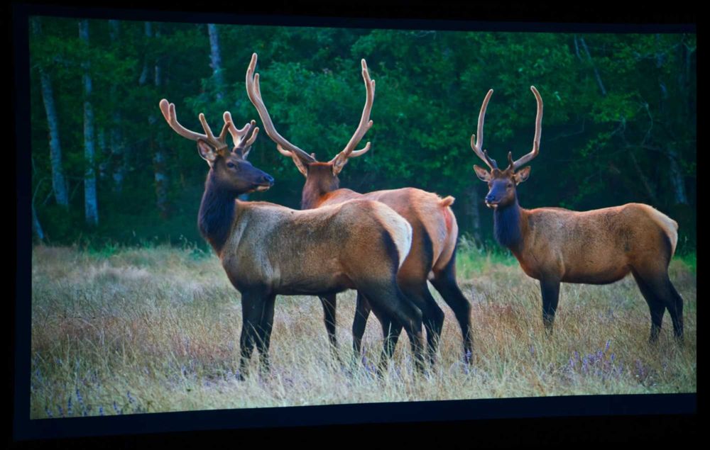 Smart ПРОЕКТОР EPSON CO-FH02, Android TV, 3LCD, Full HD