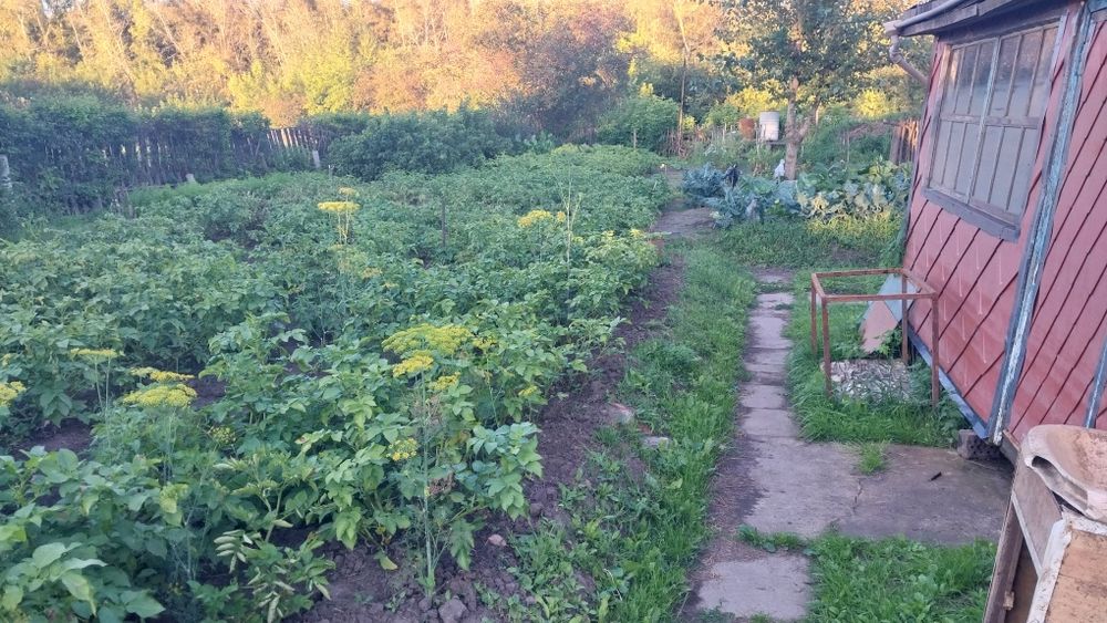 Дача в заречном 6 соток