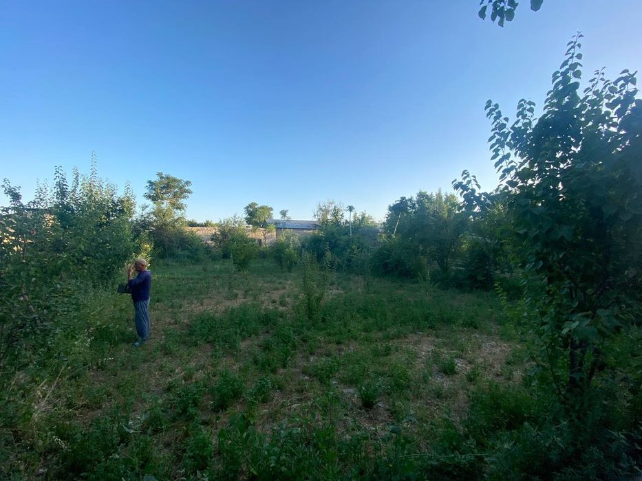 12 soʻtixli uchastka