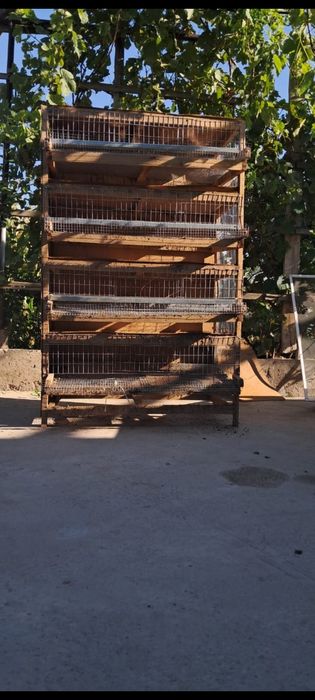 Клетка для бодене