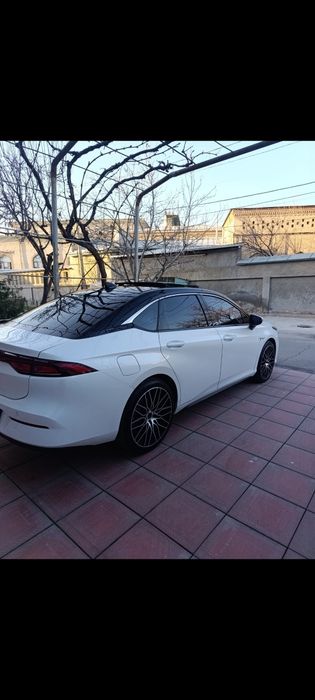 Diska balon xolati yaxwi R20