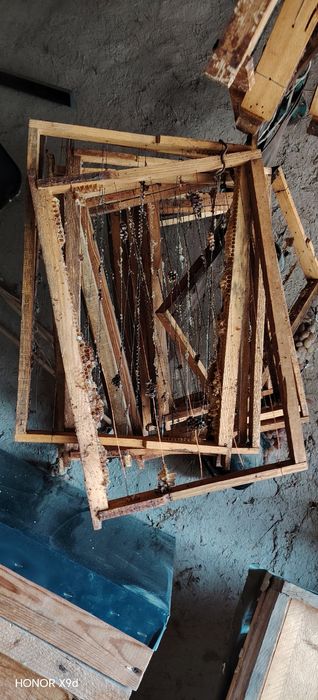 Asal ari uyasi sotiladi