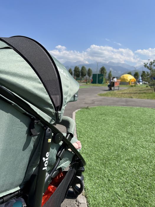 Всесезонная коляска Joie