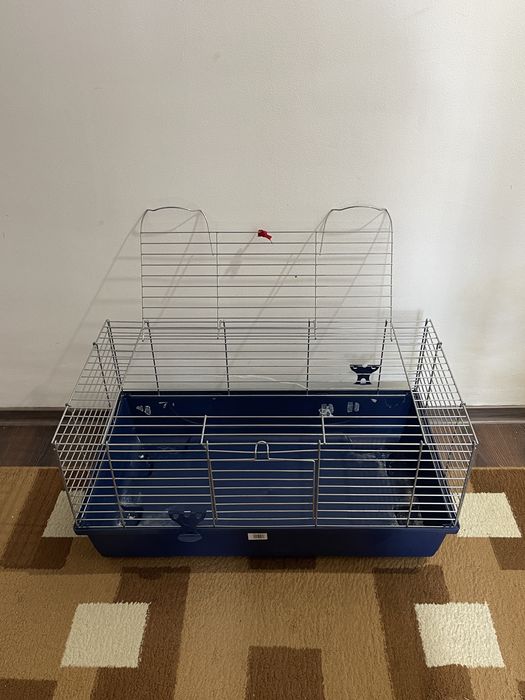 Vand 2 custi hamsteri/porcusori de guineea