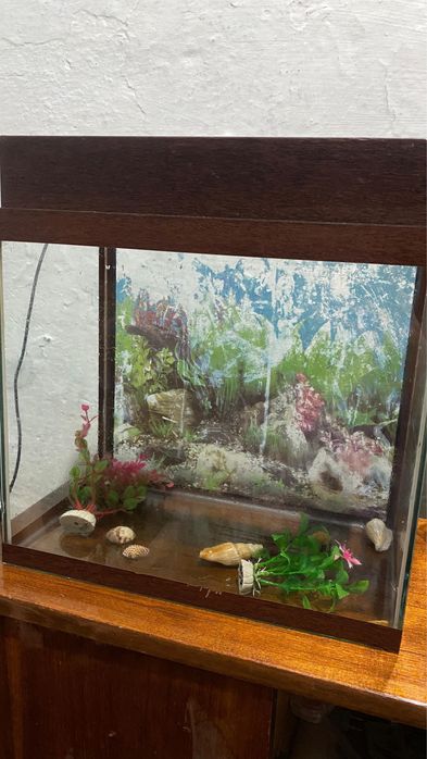 Аквариум 20 литров свет есть