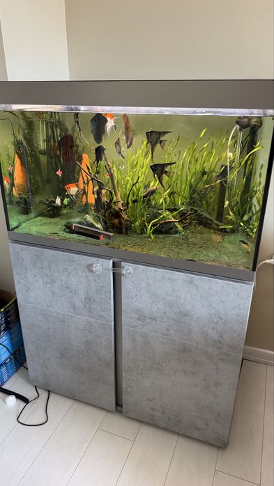 Аквариум Fluval Siena 270