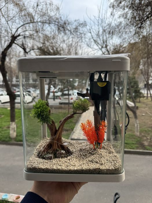 Mini xitoy Akvarium