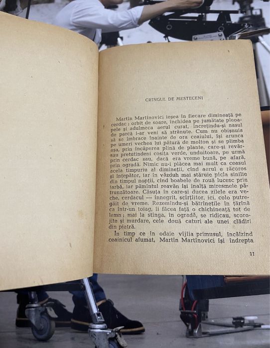 Feodor Gladkov- Inimă de mamă-1959/Espla- cartea rusă.