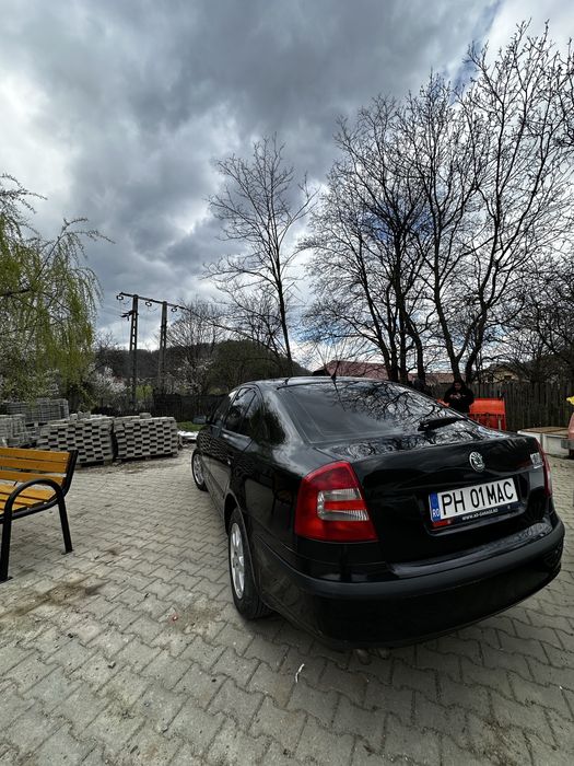 Vand Skoda Octavia 2 1.9 bjb