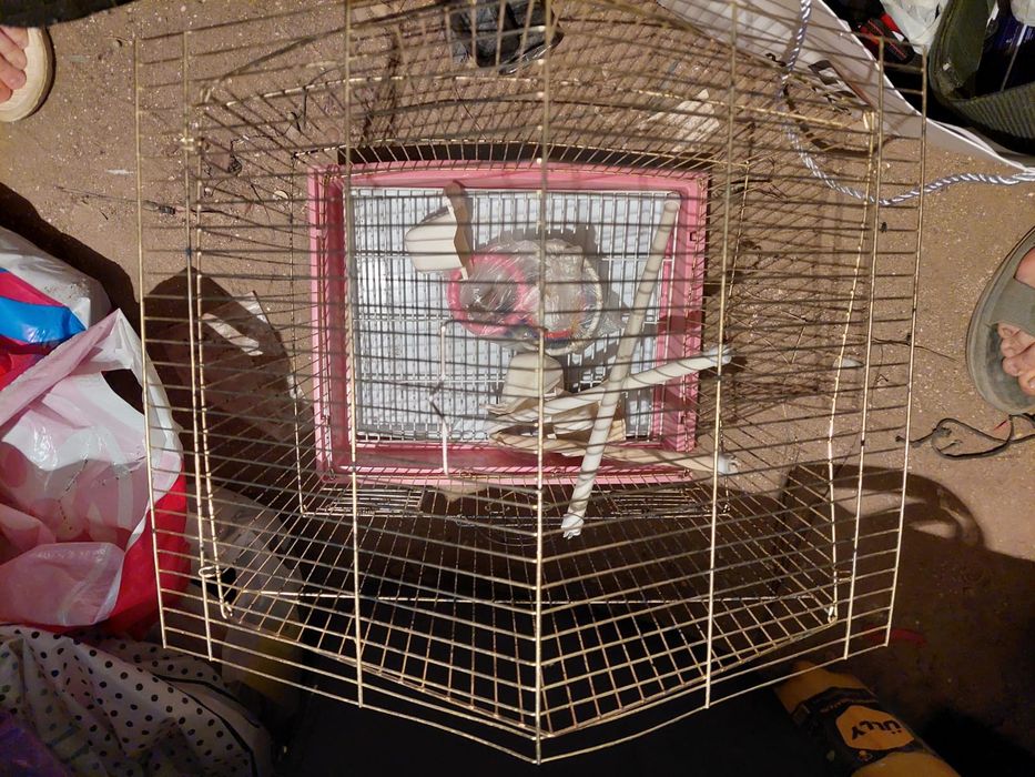 Клетки для папугаев, грызунов