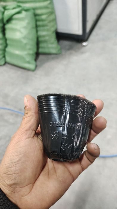 Atirgul pista pomidor bodiring uchun salafan paketlar