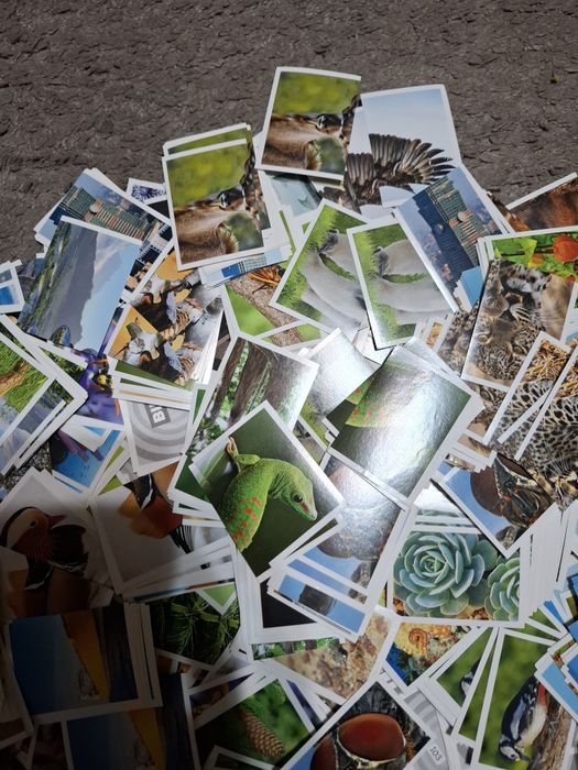 Конструктор, Фигури Tron Legacy и Hero 108