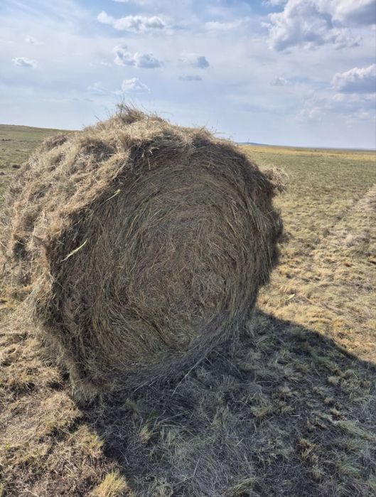 продается рулон.