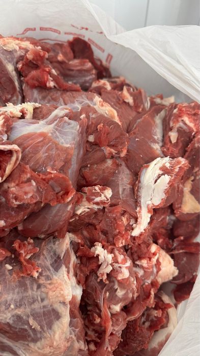 Продам мясо говядины