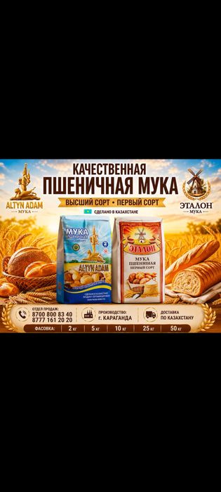 Мука Эталон, Алтын адам