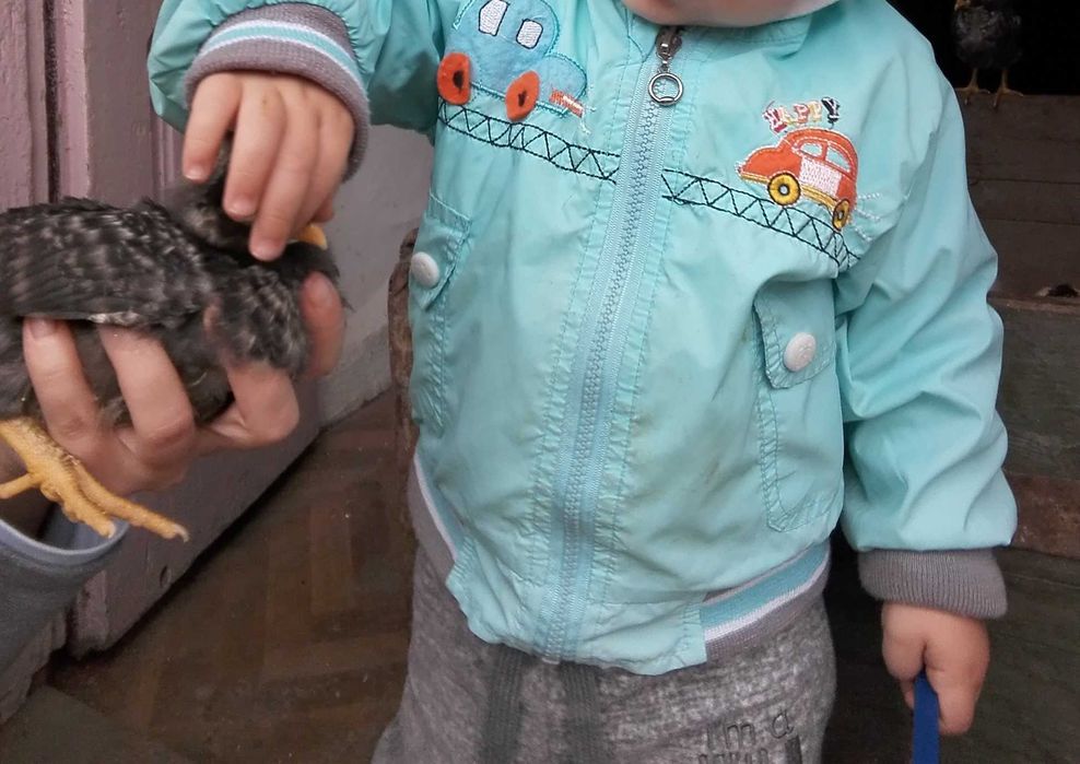 Geaca primavara cu gluga, turcoaz, marimea 80-86 cm (1 an)