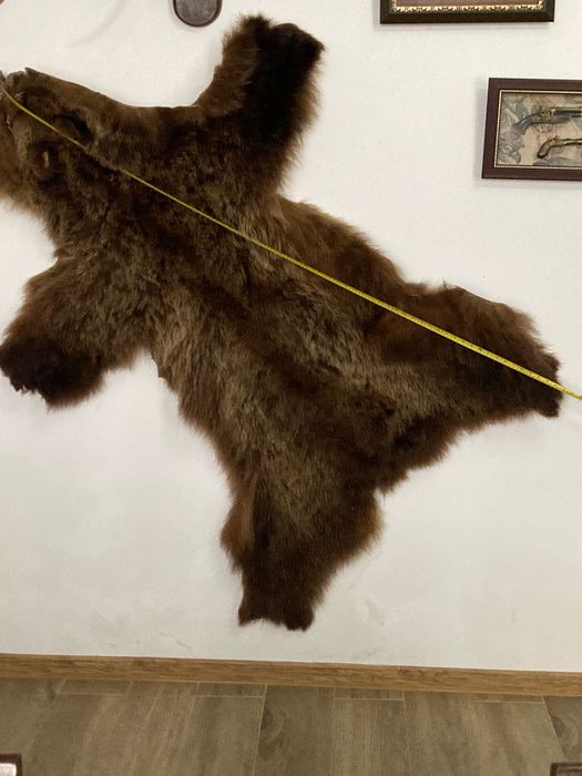 Blană de urs tăbăcită