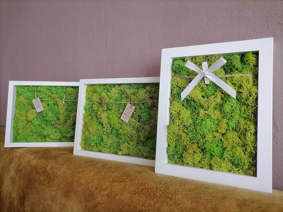 Декоративно пано от естествен скандинавски мъх