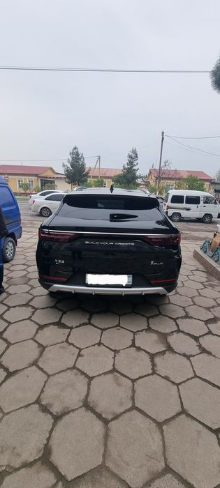 BYD Song plus faqat tok