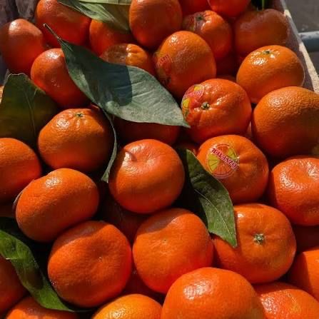 Турецкие мандарины