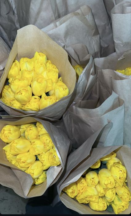 Свежие тюльпаны оптом и в розницу