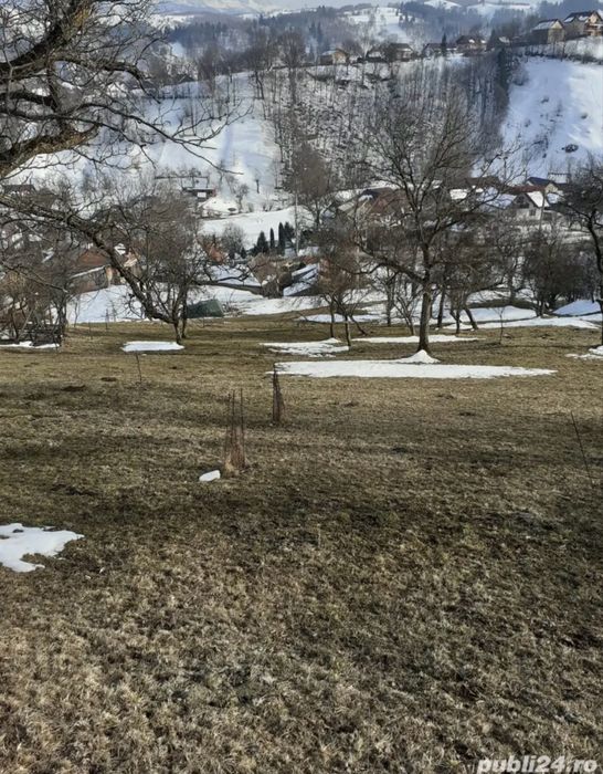 Teren Moieciu de Jos