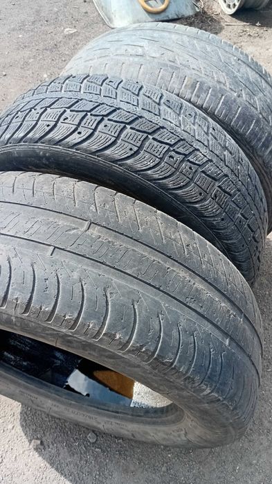 215/60R16 одиночки