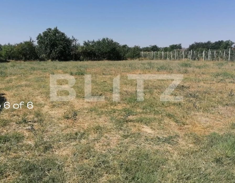 Vând casă cu grădină și construcții aferente în Com. Șimand, Jud. Arad