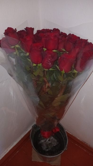 Продам срочно цветы