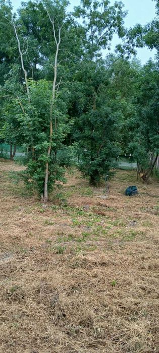 Teren de vânzare – Cralovăț, jud. Timiș