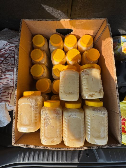 Toza iwonchli wifobaxw asal