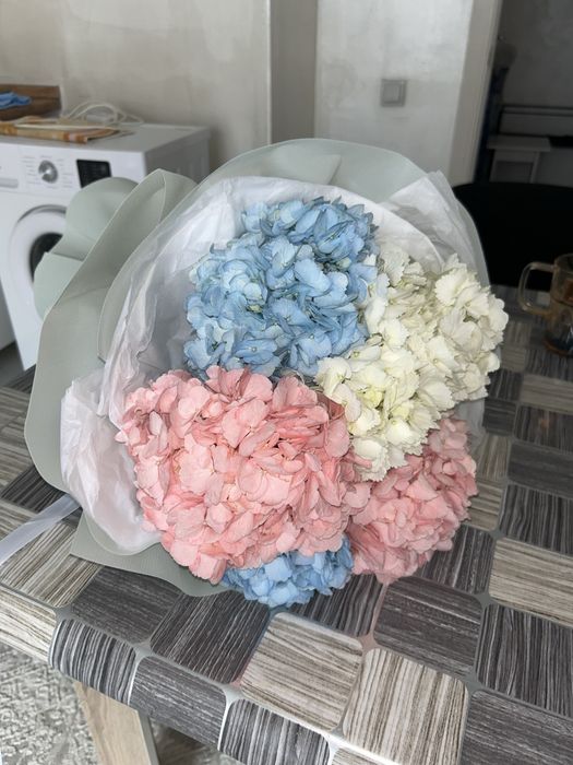 Гартензия ,очень свежый.