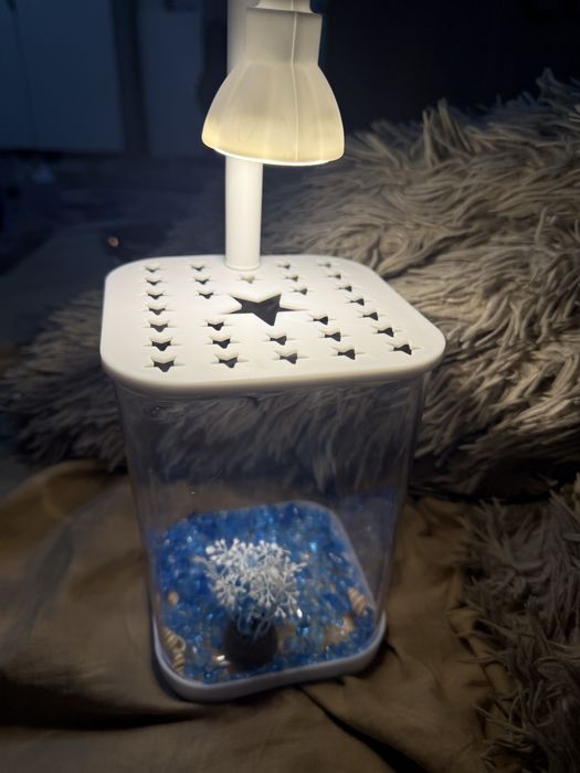 Мини аквариум и рыбка петушок