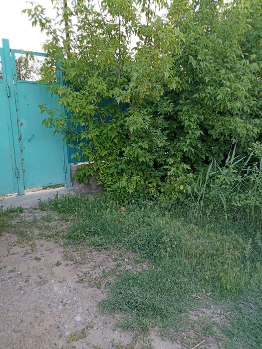 Жақсы жер сатылады