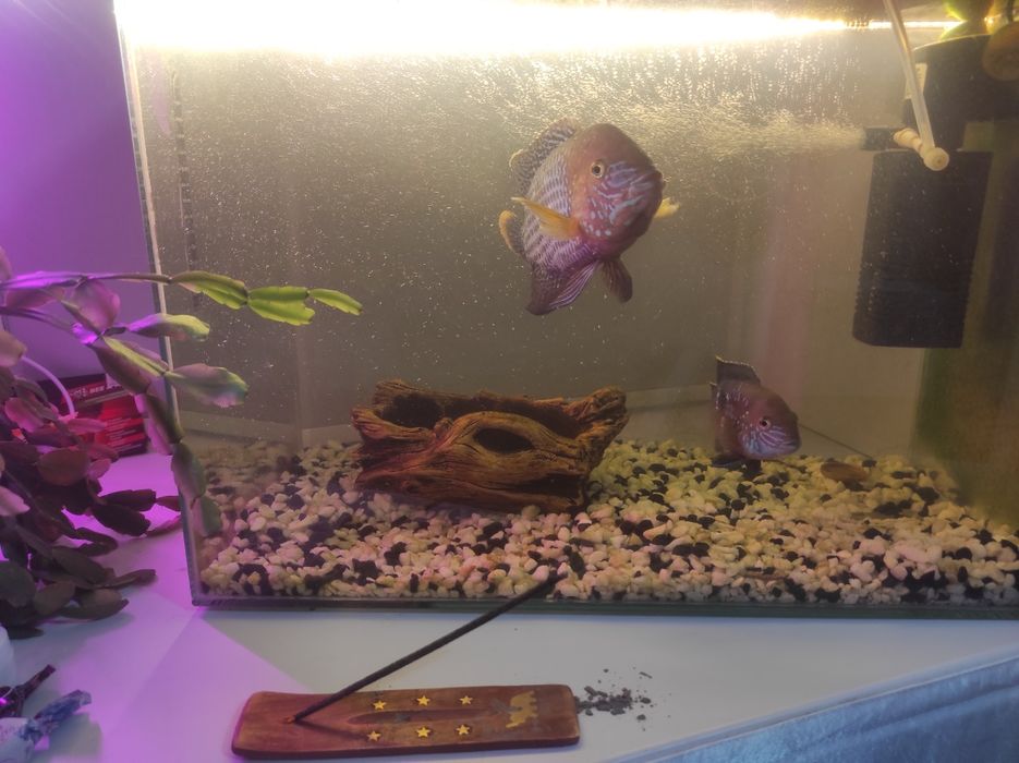 Продам аквариум 60 литров