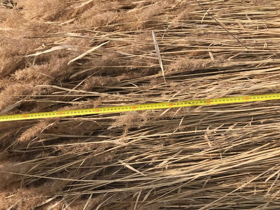 Stuf calitatea garantata