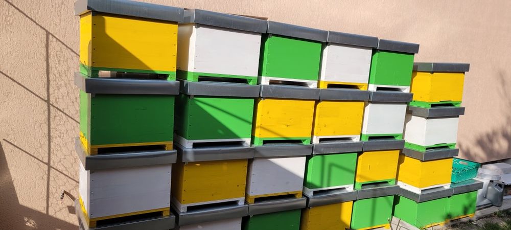 Stupi de albine/ lazi pe 12 rame