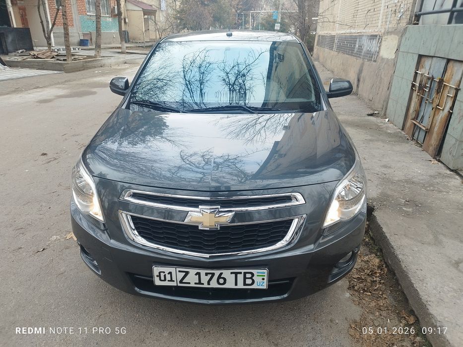 2022/2023 краска тозза