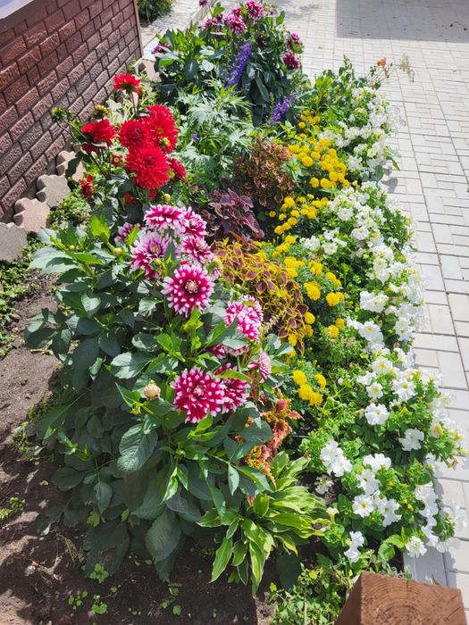 Срочная продажи дачи ( ИЖС )