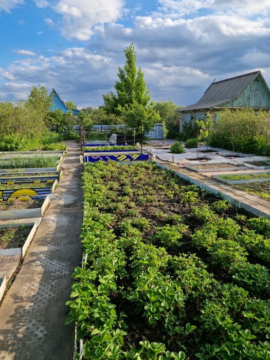 Продам дачу со Автомобилист