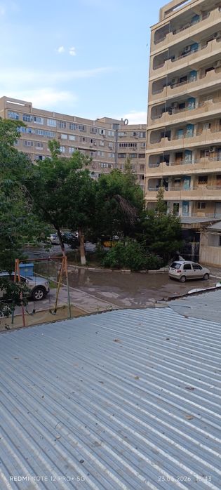 2хона трехлестник