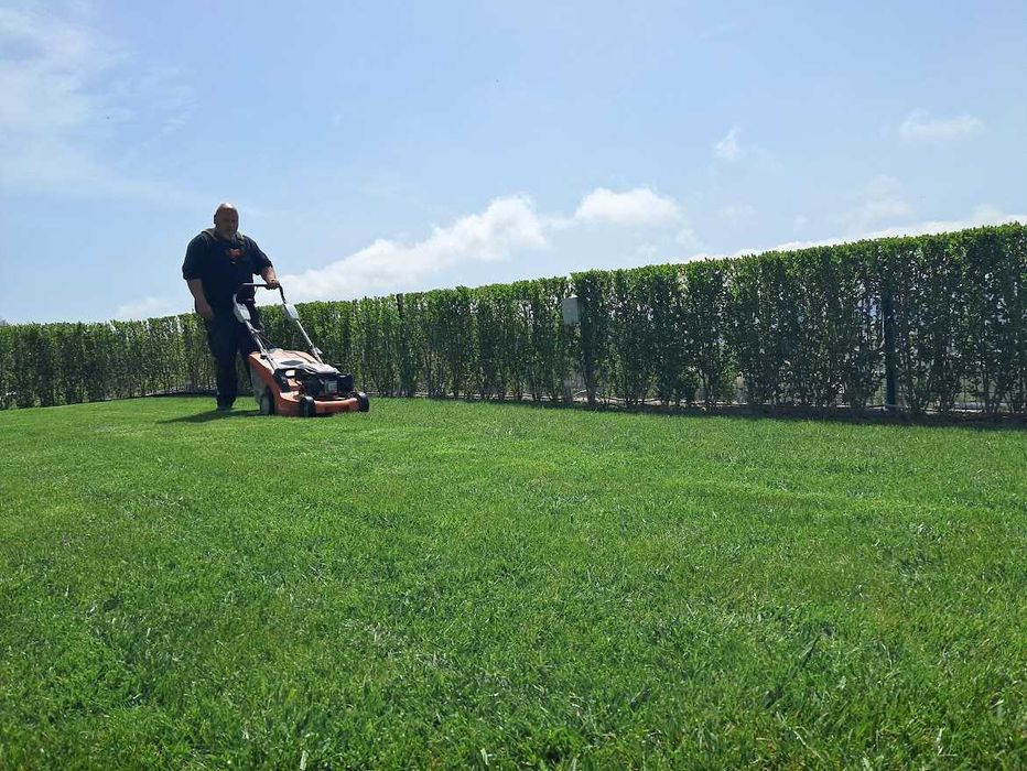 Поддръжка на градини – само абонамент