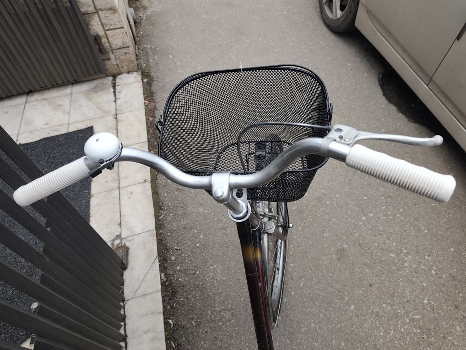 Damă 26 torpedou coș singlespeed