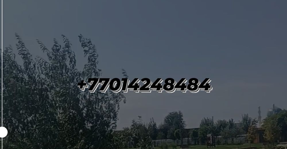 Номер белаин актиф сатылады