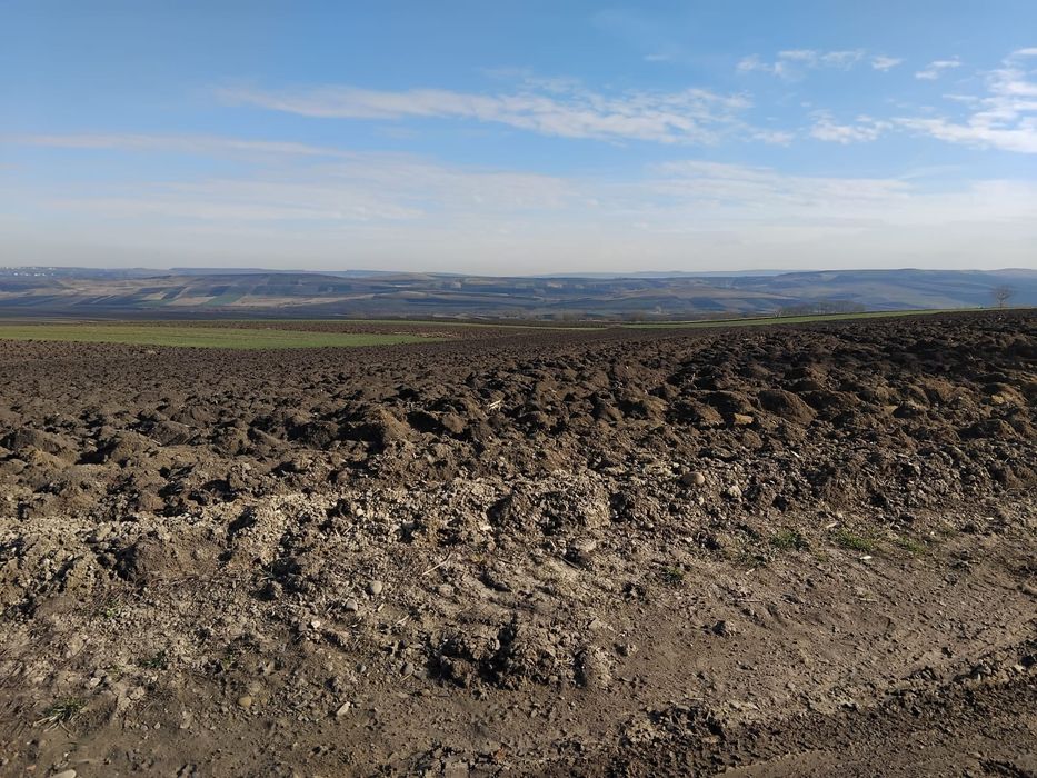 Vând teren intrare Grănicești