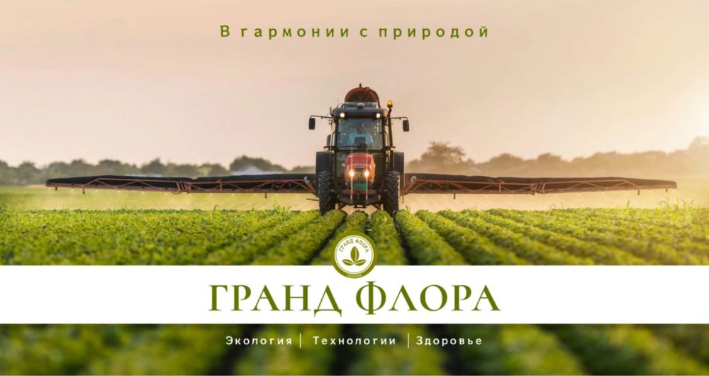 оформление презентаций (power point, figma, canva)